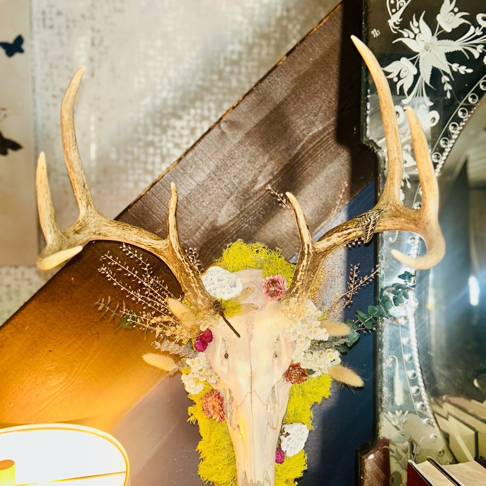 Rustic Deer Skull Wall Accent in Natural Beige and Tan